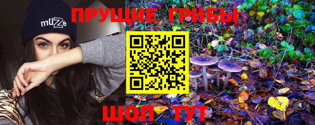 Псилоцибиновые грибы мухоморы  Псилоцибиновые грибы Psilocybe  Асино  Вход с VPN 