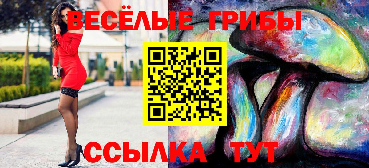 Галлюциногенные грибы Psilocybe Асино